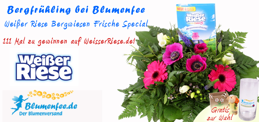 Blumenfee Weißer Riese Special - Bergwiesen Frische Blumenstrauß