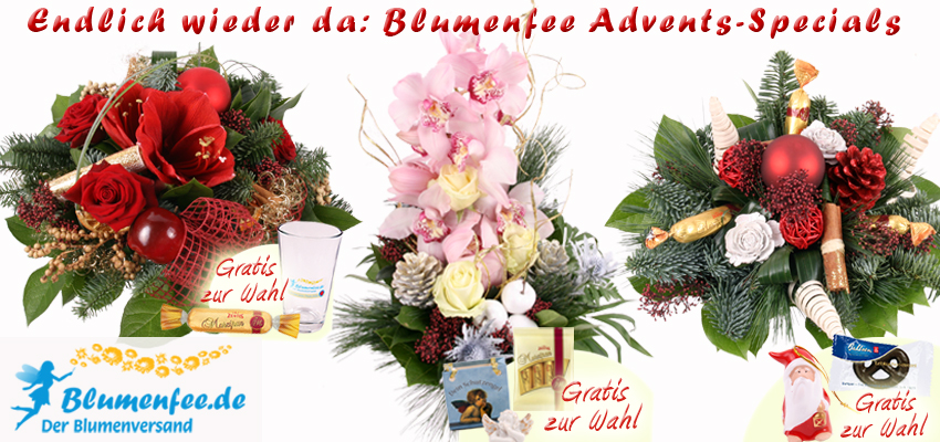 Der Advent kann kommen - mit Blumenfee und den Advents-Specials.