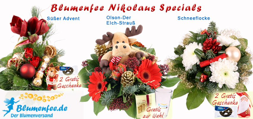 Olson, der Weihnachtselch sucht ein neues Zuhause. Er bringt auch Blumen mit.