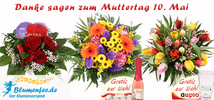 Blumenversand Blumenfee Muttertags-Blumenstrauß online